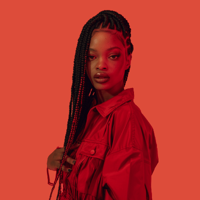 BOX BRAIDS